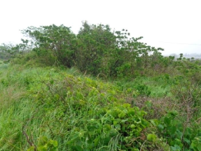 소재지 1.(상대리 3588-6) 전경