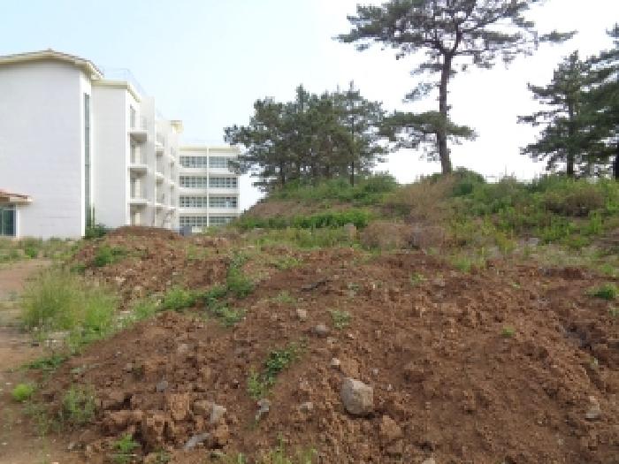 소재지 3.(고내리 249-1) 및 소재지 5.(고내로13길 62) 제시 건물 전
