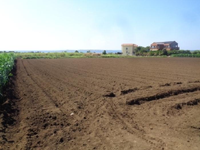 소재지 2.(상모리 1646-2) 전경