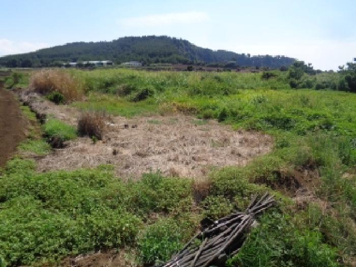 소재지 1.(상모리 1646-1) 전경