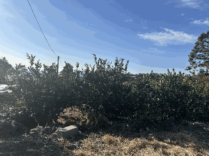 일련번호 1 전경