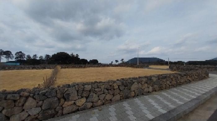 소재지6(송당리 2836-4) 전경