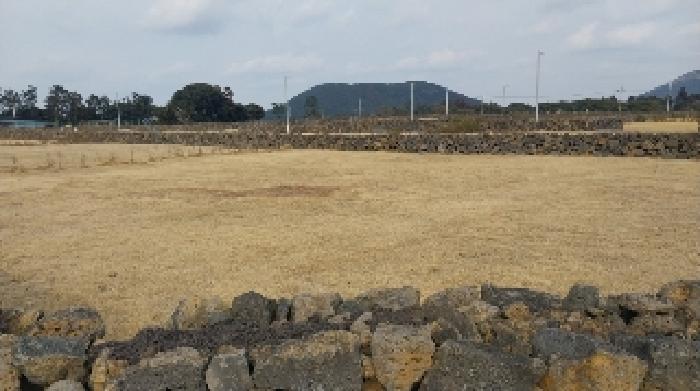 소재지1(송당리 2840-8) 전경