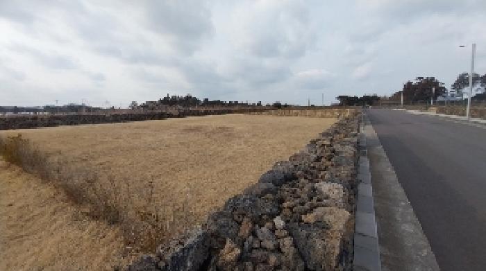 소재지3(송당리 2838-2) 전경