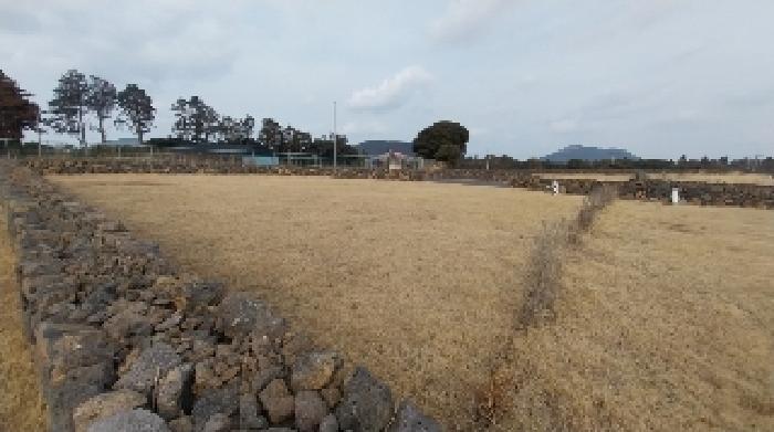 소재지4(송당리 2840-1) 전경