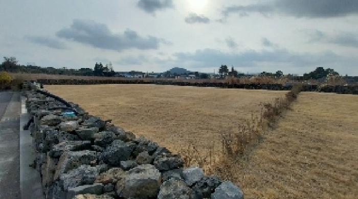 소재지3(송당리 2838) 전경