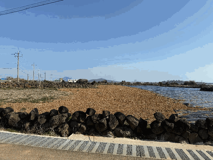 본건전경