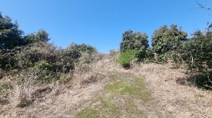 소재지1(수산리 4333) 전경2