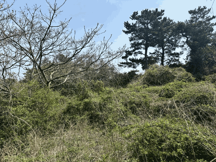 기호2 전경