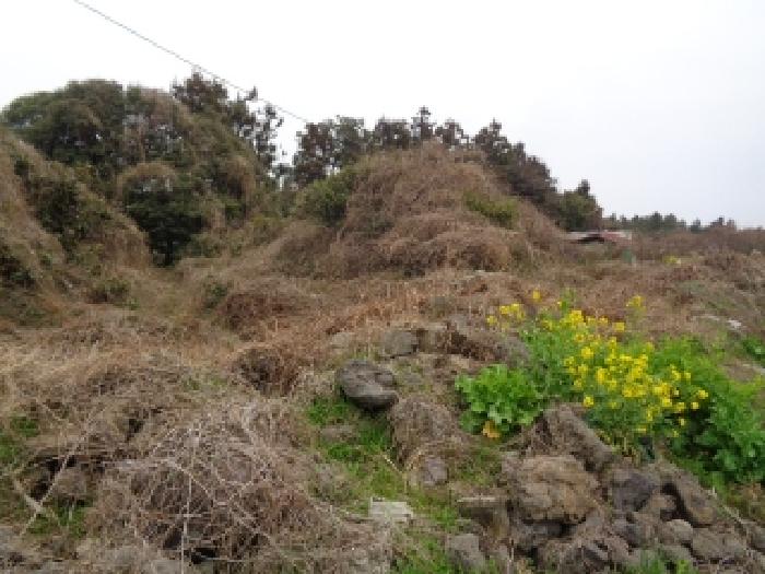소재지 23.(상예동 2761-1) 전경