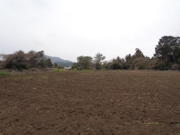 소재지 19.(상예동 2761) 전경