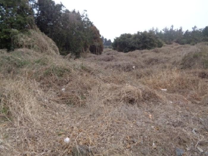 소재지 20.(상예동 2766) 전경