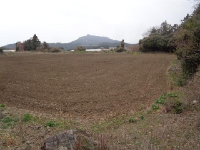 소재지 27.(상예동 2764) 전경
