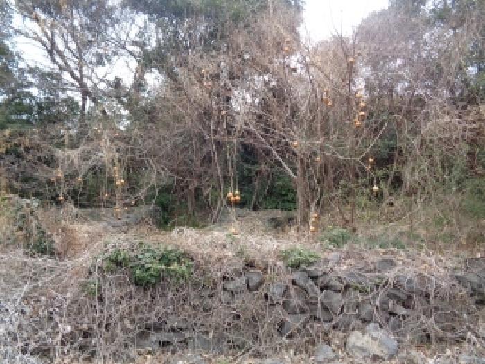 소재지 10.(상예동 2821) 전경