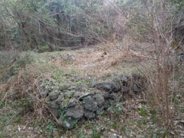 소재지 11.(상예동 2819) 전경