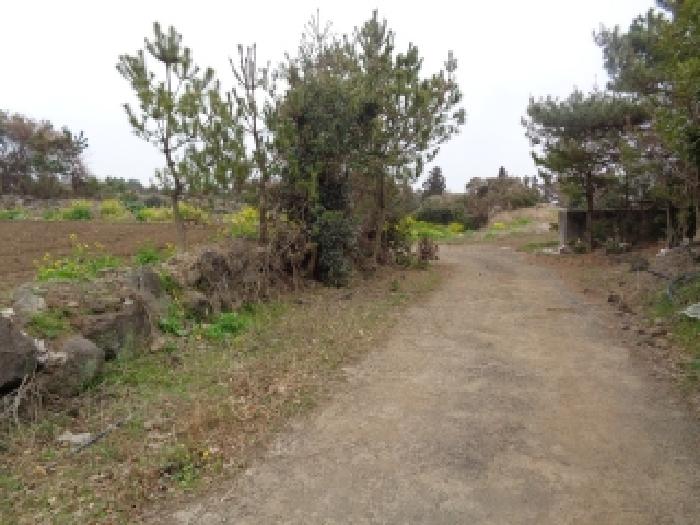 소재지 19.(상예동 2761) 전경