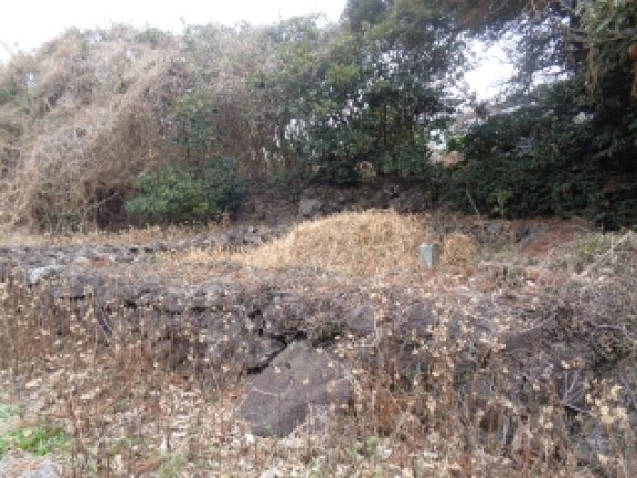 소재지 13.(상예동 2790) 공부상 표시 없는 분묘 사진