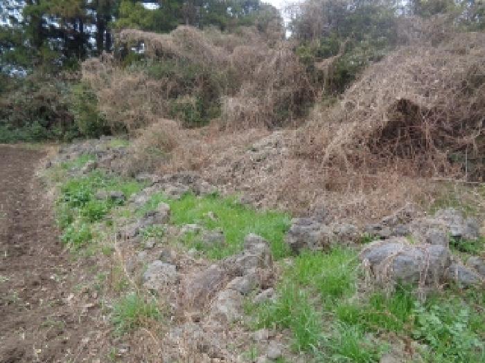 소재지 13.(상예동 2790) 전경
