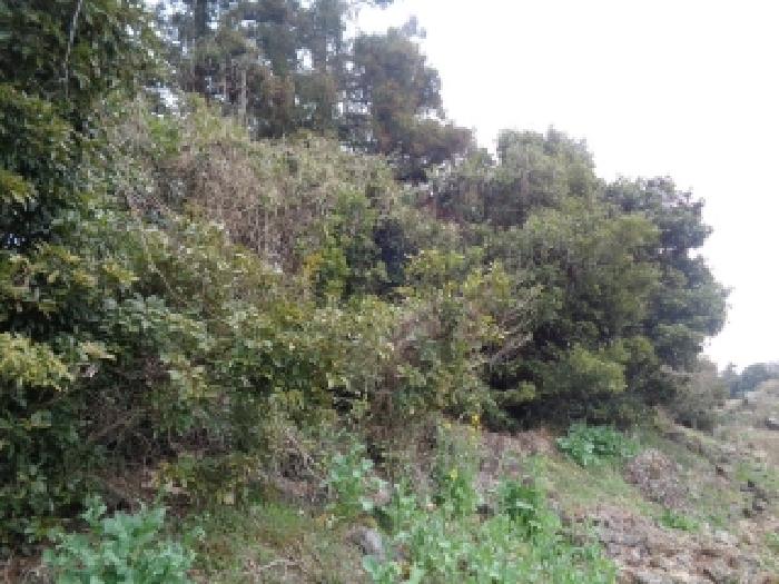 소재지 27.(상예동 2764) 전경
