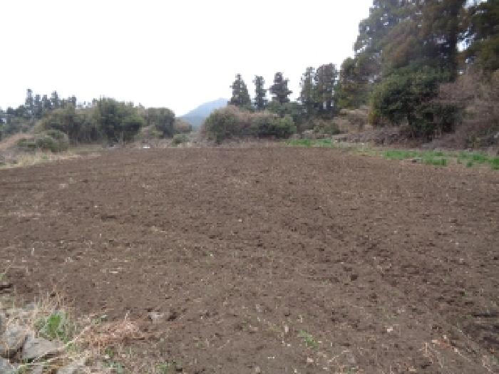 소재지 13.(상예동 2790) 전경