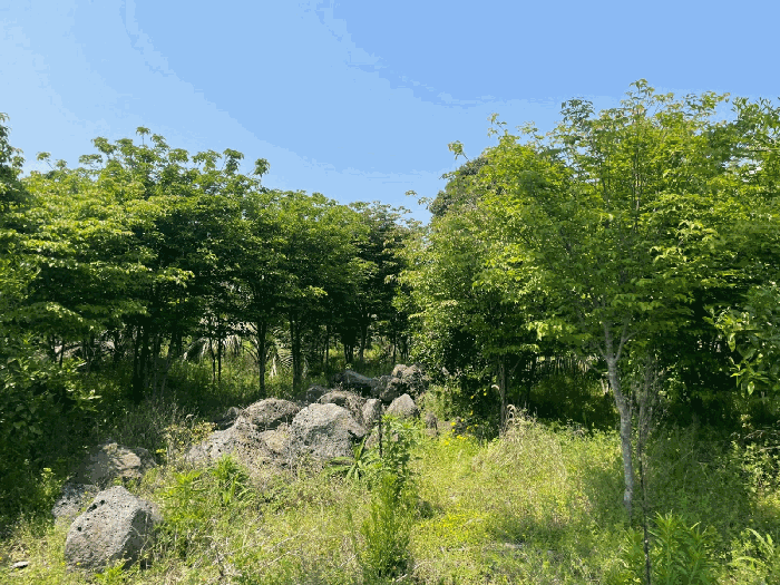 기호(6~8) 전경