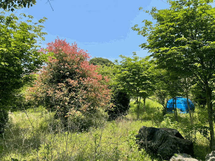 기호(6~8) 전경