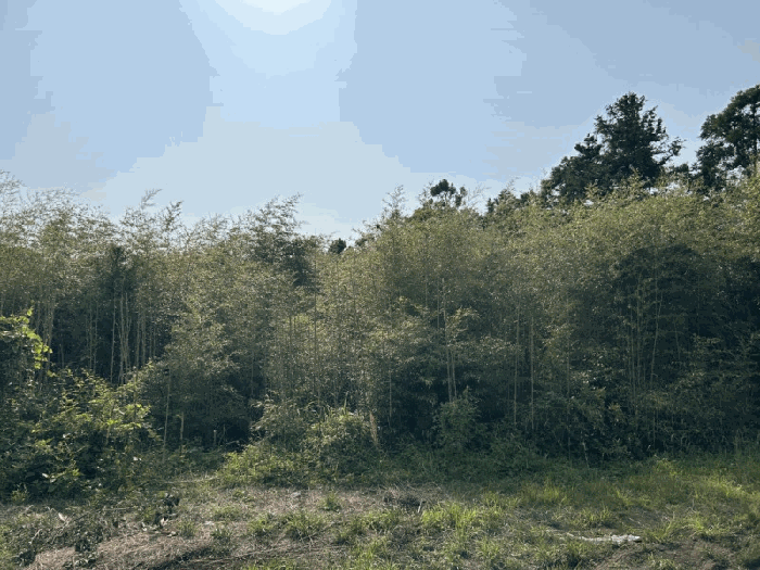 본건전경