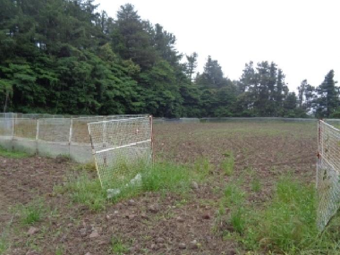 소재지 1.(하원동 1053) 전경
