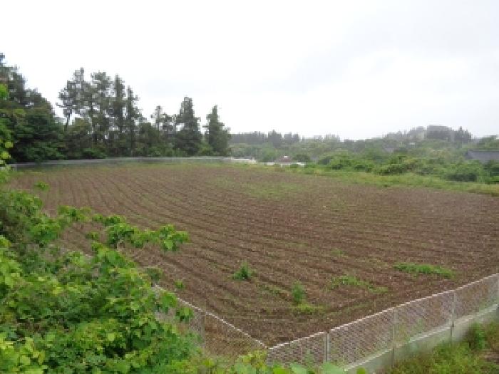 소재지 1.(하원동 1053) 전경