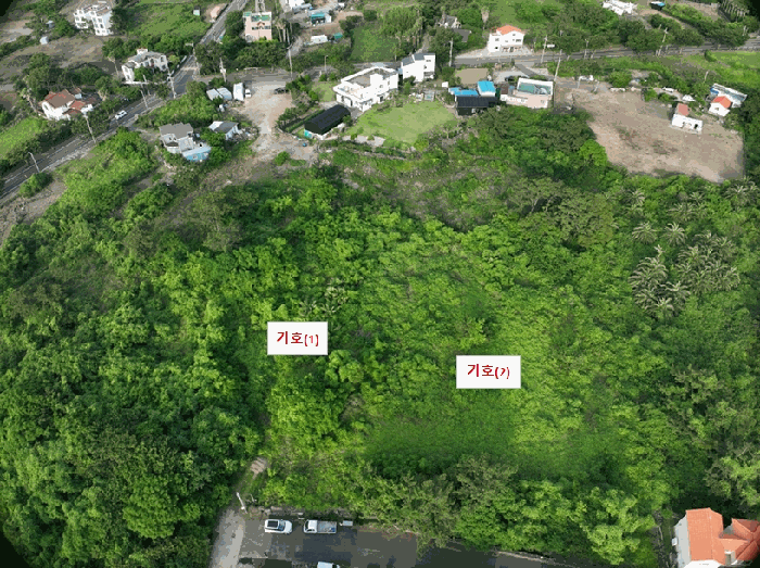본건 항공사진