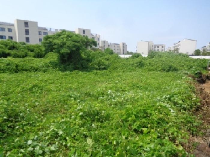 소재지 1.(구억리 360-2) 전경