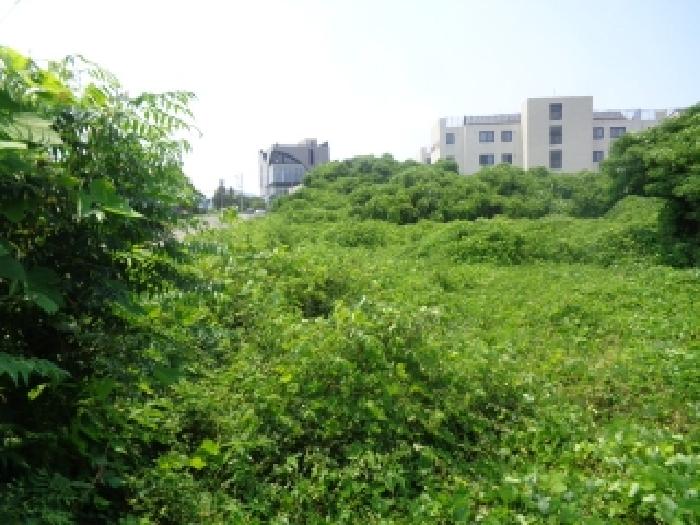 소재지 1.(구억리 360-2) 전경