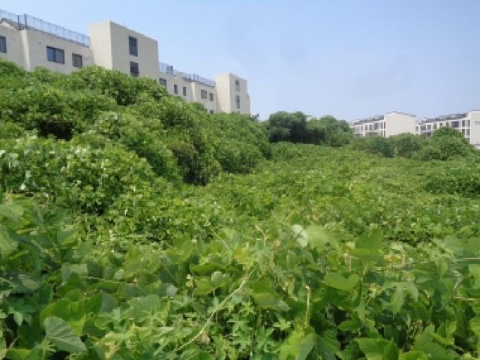 소재지 1.(구억리 360-2) 전경