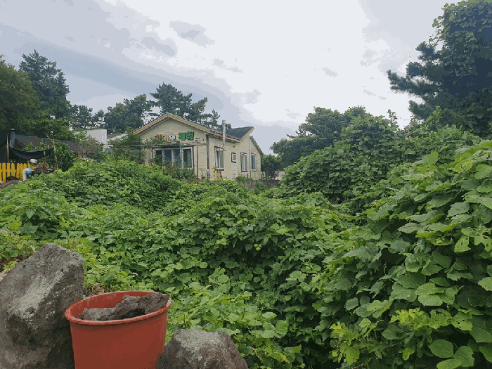 본건 현황
