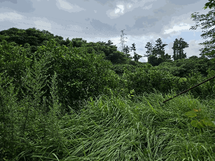기호9전경