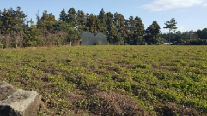 소재지3(하천리 1196-10) 전경1
