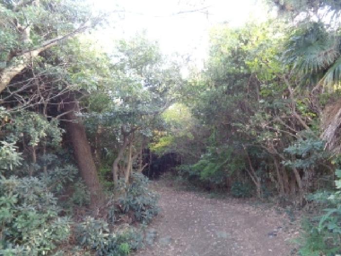 소재지 1.(도남동 225) 전경
