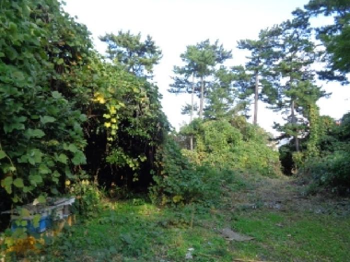 소재지 1.(도남동 225) 전경
