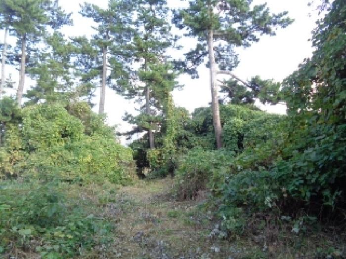 소재지 1.(도남동 225) 전경