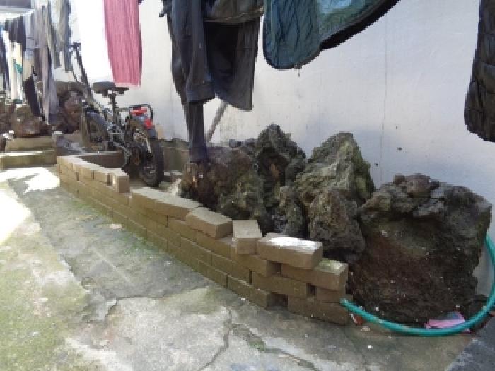 - 소재지 1.(건입동 710-6) 지상 정원석