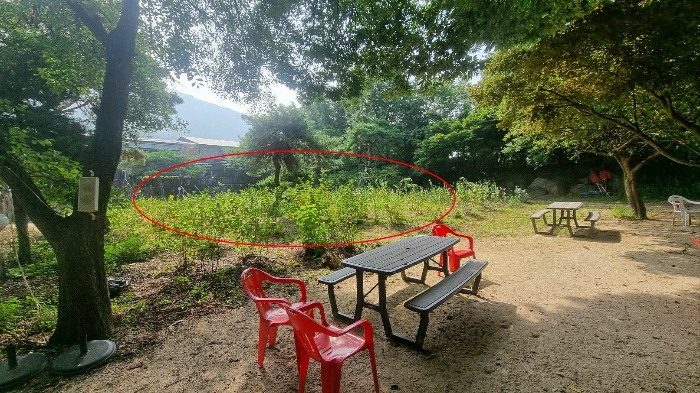 2023타경75867