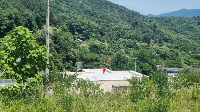 본건 지붕