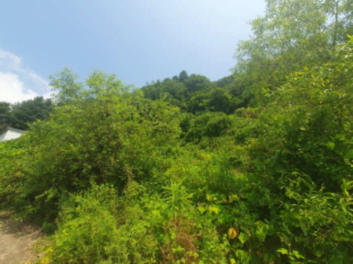 목록1