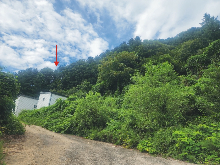기호(1)토지(백둔리 산175-7) 북측 부분 전경