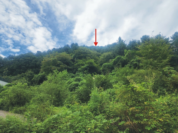 기호(1)토지(백둔리 산175-7) 전경