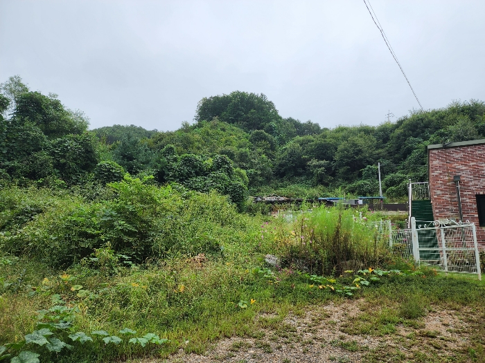기호(1)토지(상천리 산298-1) 및
기호(2)토지(상천리 산298) 서측 부