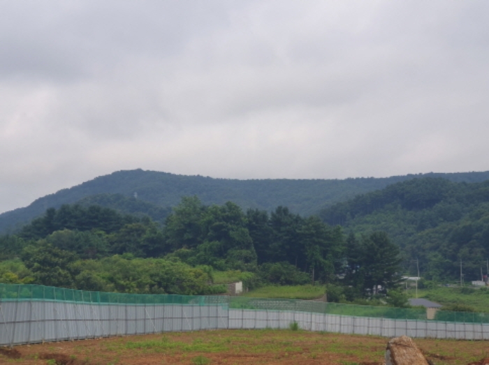 전경