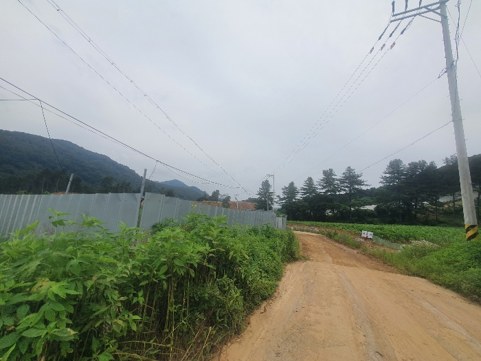 본 건 기 호 3 및 인 근 환 경