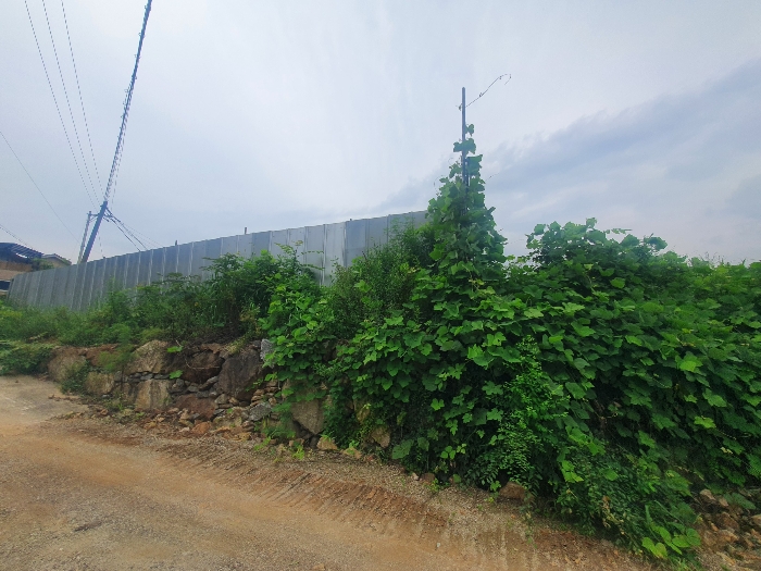 본 건 기 호 1 동 측 현 황