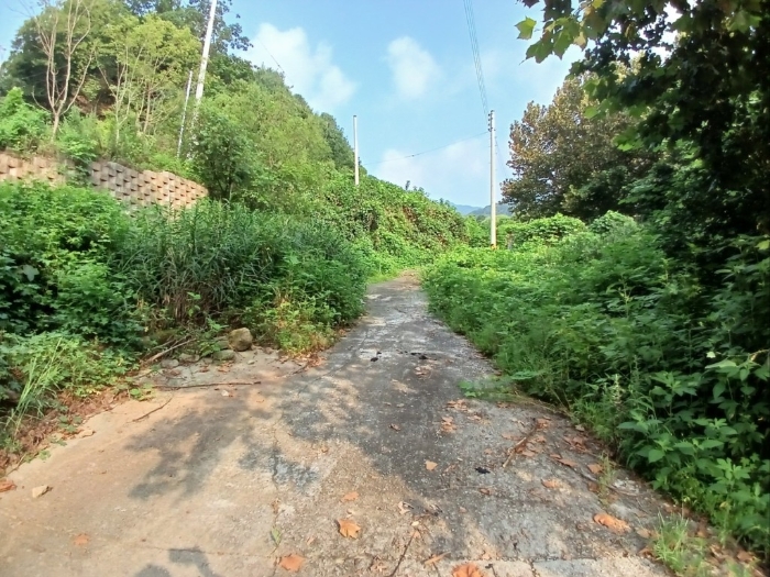 본건 전경